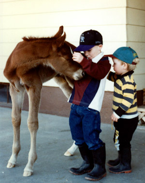 Foal playing with children