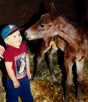 Newborn foal and child